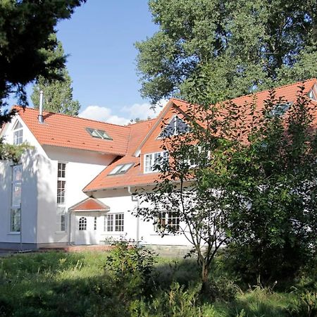 Haus Mueritz, Fewo 11 Fischadler Zielow Buitenkant foto